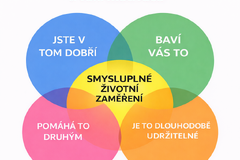 Osobní vize jako základ trvalé motivace