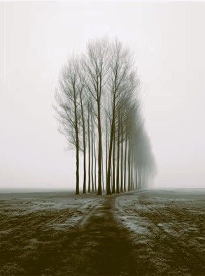 Pravda, která se proměňuje v jednání