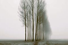 Pravda, která se proměňuje v jednání